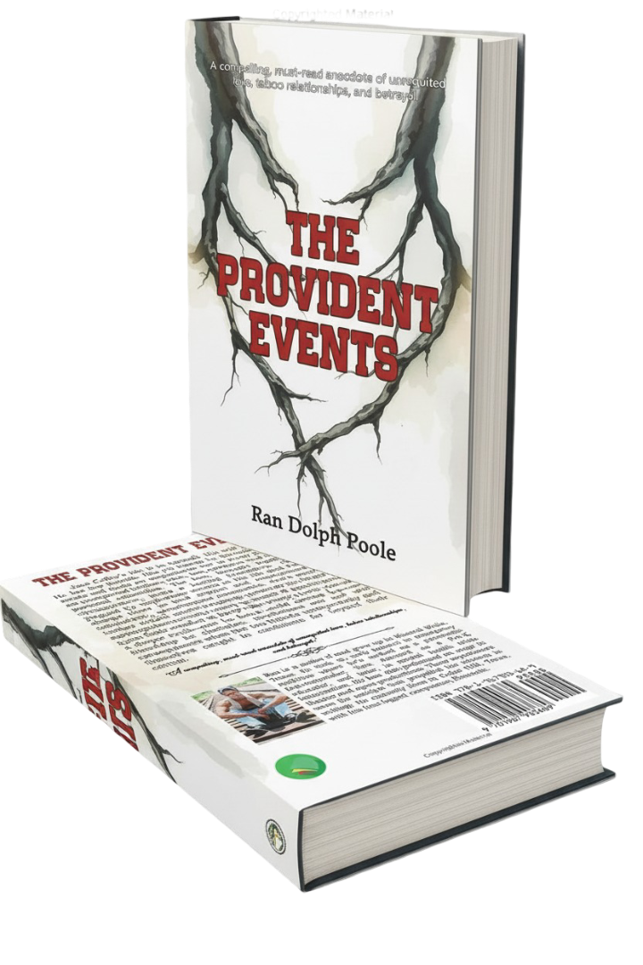 The Provident Events - 3D Book Cover